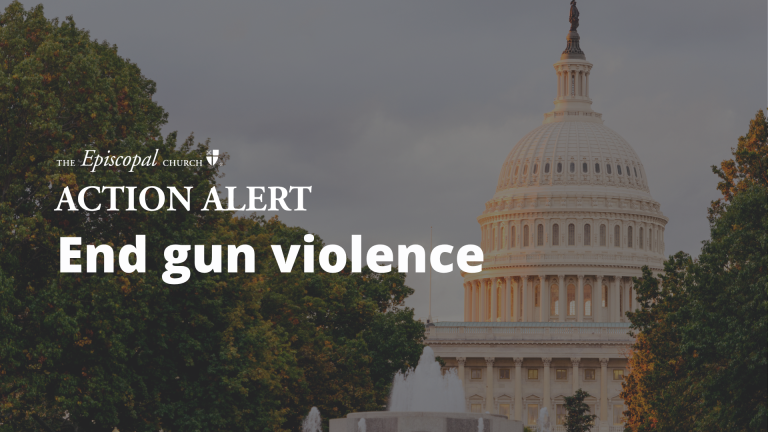 End gun violence