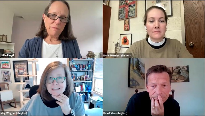 Four participants in a webinar