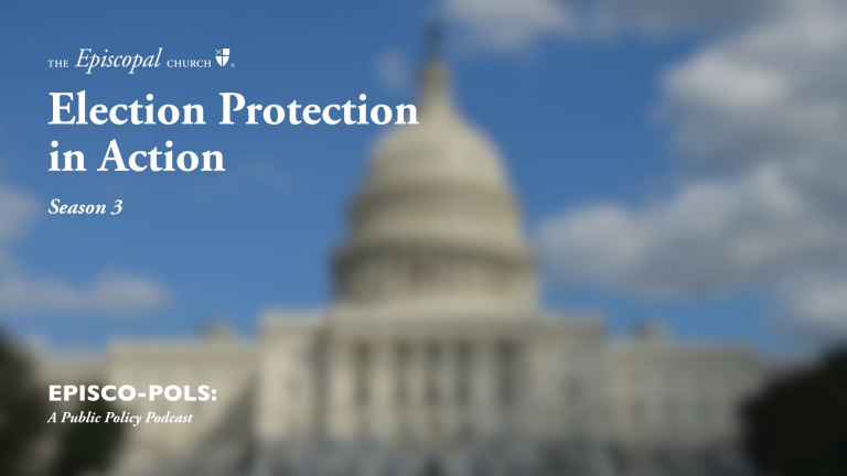 Election Protection in Action