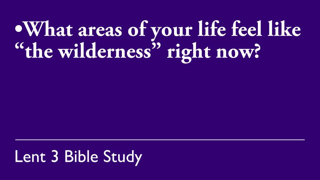 What areas of your life feel like "the wilderness" right now?