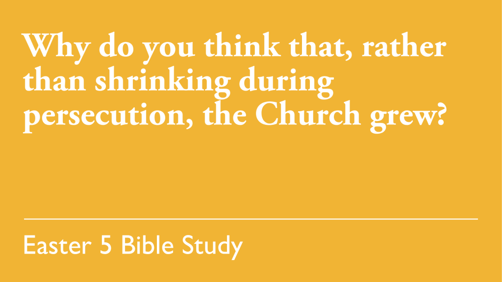 Why do you think that, rather than shrinking during persecution, the Church grew?