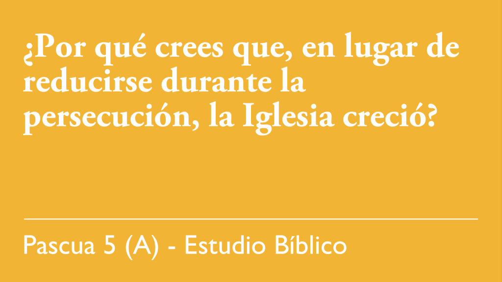¿Por qué crees que, en lugar de reducirse durante la persecución, la Iglesia creció?