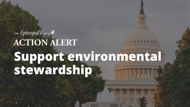 Support environmental stewardship